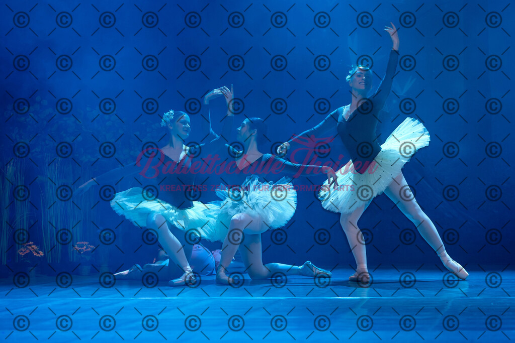 Ballettaufführung-1171 | Bildershop Lem'n Entertainment - Realisiert mit Pictrs.com