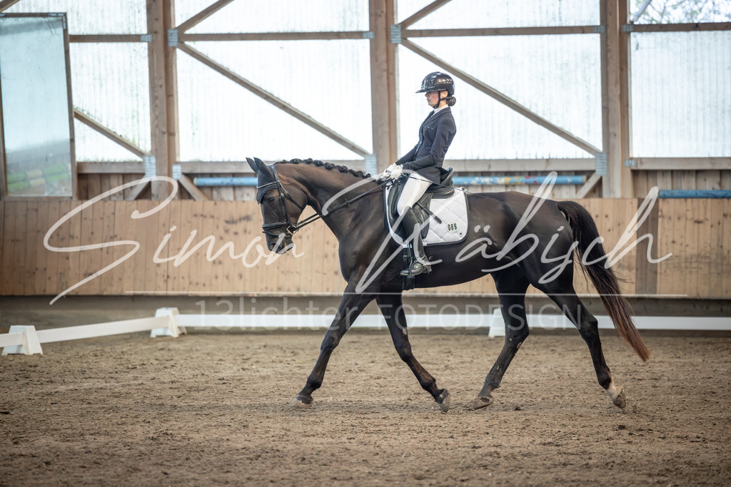 20251011-_3LI6298 | Tierfotografie Pferde, Hunde, Katzen, Haustiere.
Turnierfotografie Reitturniere, Reiten, Springreiten, Dressur in Hanau, dem Main-Kinzig-Kreis und dem Rhein-Main- Gebiet um Frankfurt