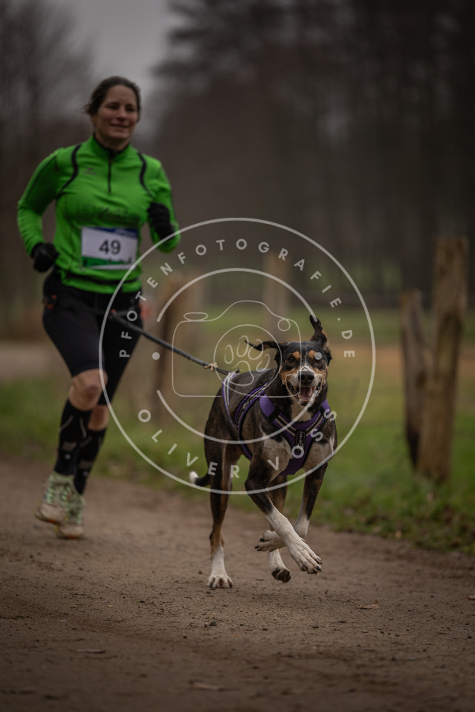 Pfotenfotografie_DV3A2801 | Hundefotografie, Tierfotograf, Pfotenfotografie, Fotoshooting Hund, Hunde Portrait, Hundesport, Hundeportraits, Heideshooting, Hunde, Sportfotograf, Hundefotograf, Turnierhundsport, THS,  - Realisiert mit Pictrs.com