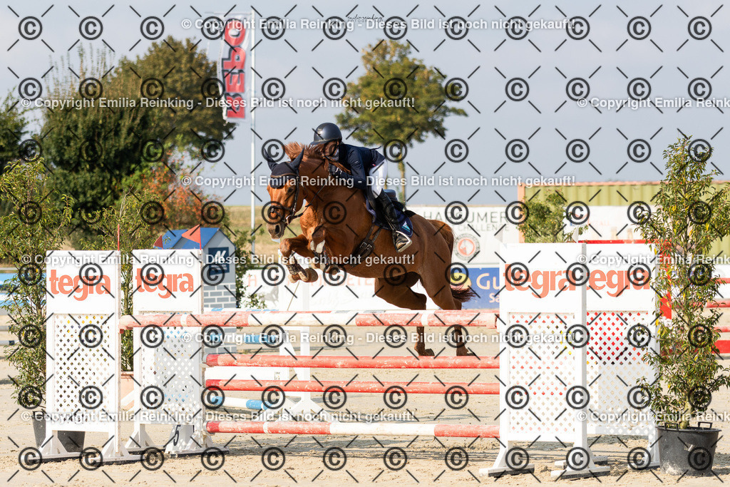 CL5A5148 | Emilia Reinking Fotografie - Realisiert mit Pictrs.com