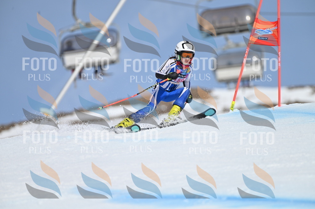 BGV_0225 | holidayphoto