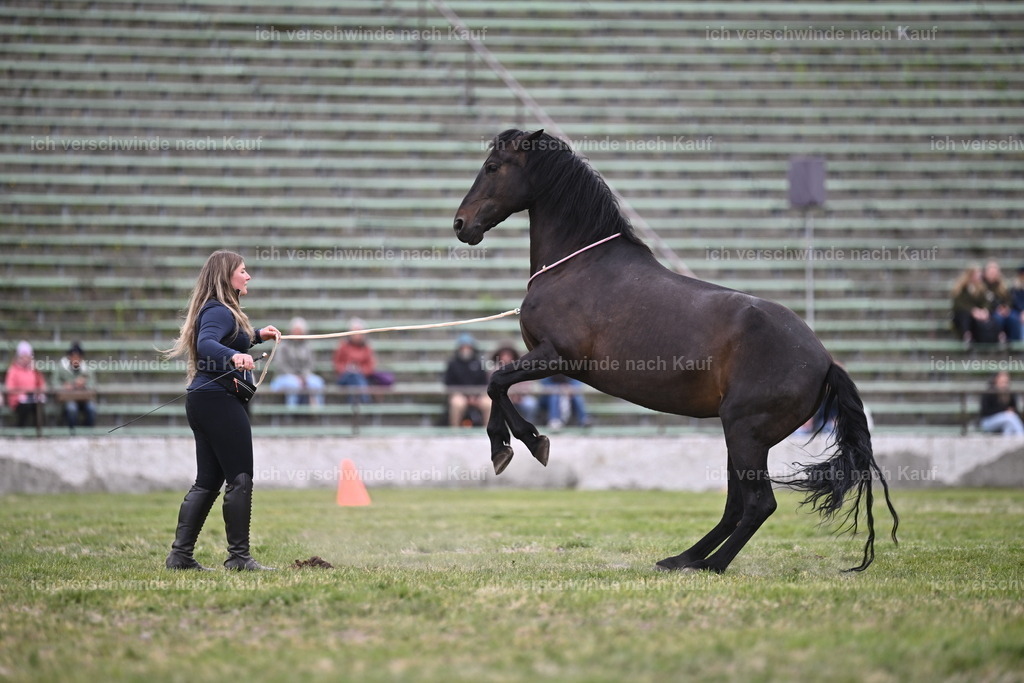 PI26_Show_Sara_Landvogt_226_0973.JPG | working equitationturnier fotograf videograf stoibphotography marixx film working equitation deutschland reitsport turnierfotografie eventfotografie equestrian events