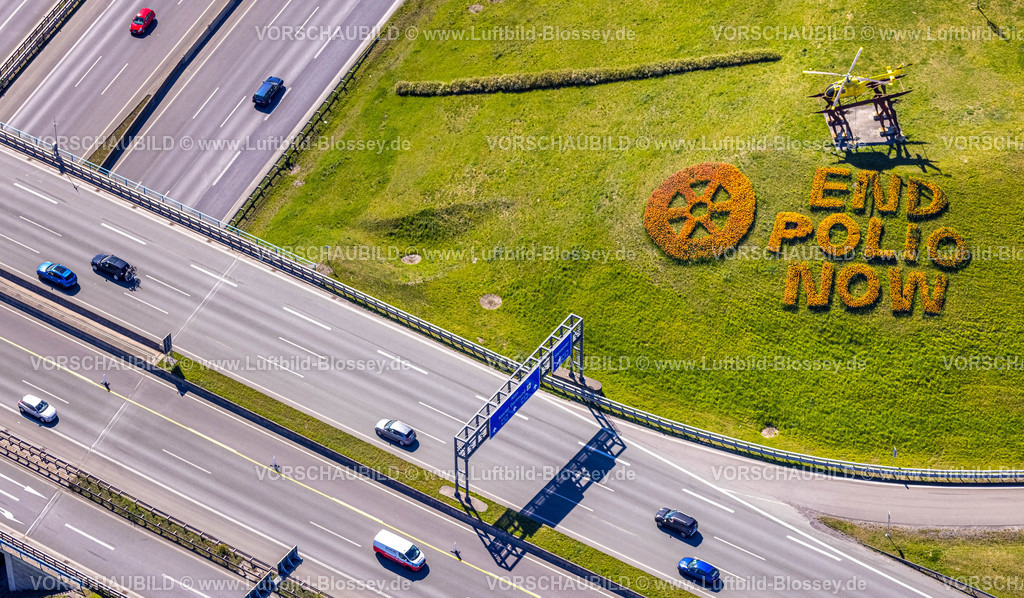 Kamen220403937Rotary-2 | Luftbild, 20.000 Tulpen pflanzten die Kamener Rotarier am Kamener Kreuz unterhalb der ADAC-Hubschrauber-Skulptur. Sie werden in den nächsten Tagen blühen. 
Rotarys Kampf gegen die Kinderlähmung (POLIO Poliomyelitis)
Das größte Projekt, das Rotary in seiner 116-jährigen Geschichte je angepackt hat – der Kampf gegen die Kinderlähmung –, heißt PolioPlus und steht kurz vor dem Ziel: Seit 1988 gelang es mit Hilfe mächtiger Partner wie der Weltgesundheitsorganisation, den größten Teil der Welt durch massive Impfkampagnen von Polio zu befreien. Durch die großen Fortschritte der letzten Jahre rückt das Ziel in greifbare Nähe: Innerhalb der nächsten drei Jahre bis 2023 soll die Übertragungskette weltweit unterbrochen sein. , Kamen, Ruhrgebiet, Nordrhein-Westfalen, Deutschland