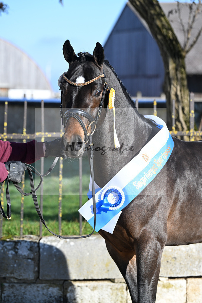 Kat-Nr. 6 Junkbrunnens Nomen est Omen v. Neverland WE_Thomas_49250322 | hf-fotografie - Realisiert mit Pictrs.com