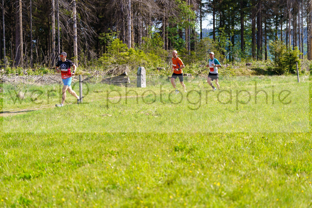 Rennsteiglauf Marathon 2025 | Marathon von Neuhaus/Rwg. nach Schmiedefeld/Rstg. am 17. Mai 2025