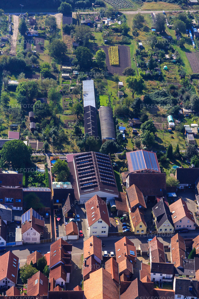 Luftbild: Landwirtschaftliche Hallen am Hintergraben in Kandel im Bundesland Rheinland-Pfalz in Deutschland. Foto: IMG_094913.jpg vom 24.09.2016 durch Werner Riehm/FLY-FOTO.de
