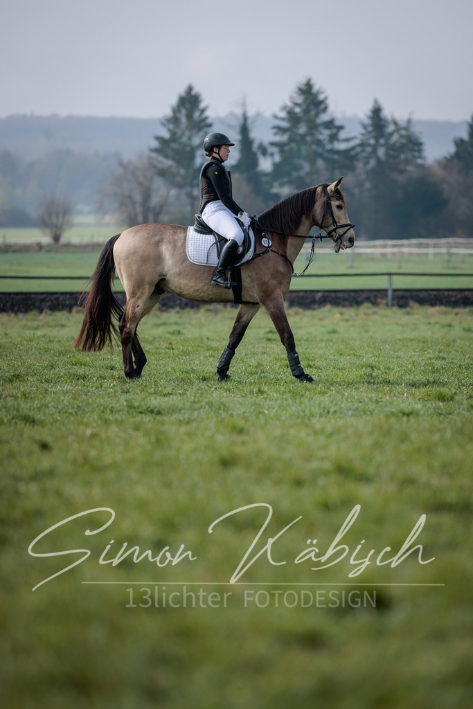 20260329-_3LI3595 | Tierfotografie Pferde, Hunde, Katzen, Haustiere.
Turnierfotografie Reitturniere, Reiten, Springreiten, Dressur in Hanau, dem Main-Kinzig-Kreis und dem Rhein-Main- Gebiet um Frankfurt