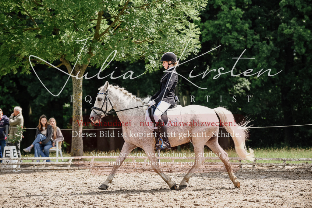 DSC_0524 | Pferde- und Turnierfotografie in Westsachsen. Pferdeportraits, Auftragszeichnungen und intuitive Kunst.