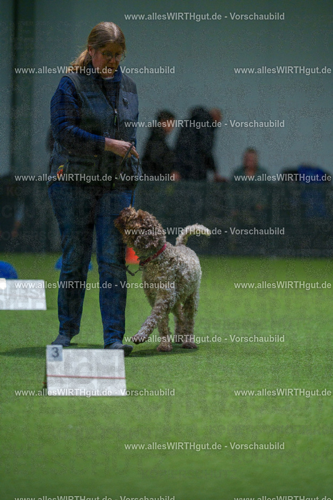 7R507815 | Professionelle Tierfotografie in Mönchengladbach von Daniel Wirth (allesWIRTHgut). Liebevolle & natürliche Bilder von Hunden & Katzen für unvergessliche Erinnerungen.