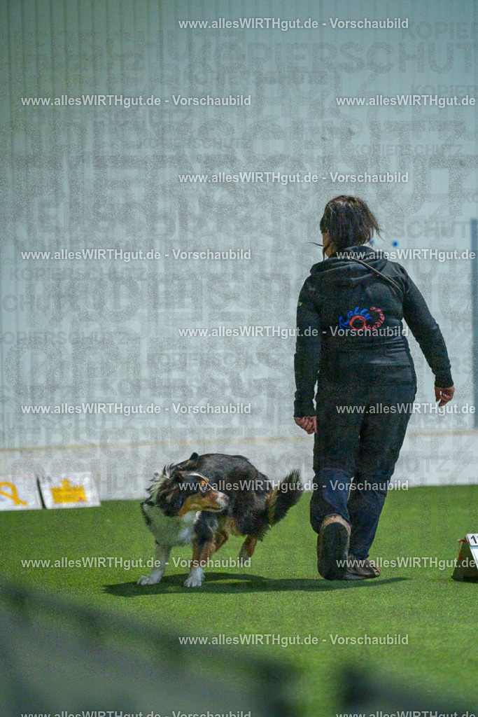 7R502019 | Professionelle Tierfotografie in Mönchengladbach von Daniel Wirth (allesWIRTHgut). Liebevolle & natürliche Bilder von Hunden & Katzen für unvergessliche Erinnerungen.