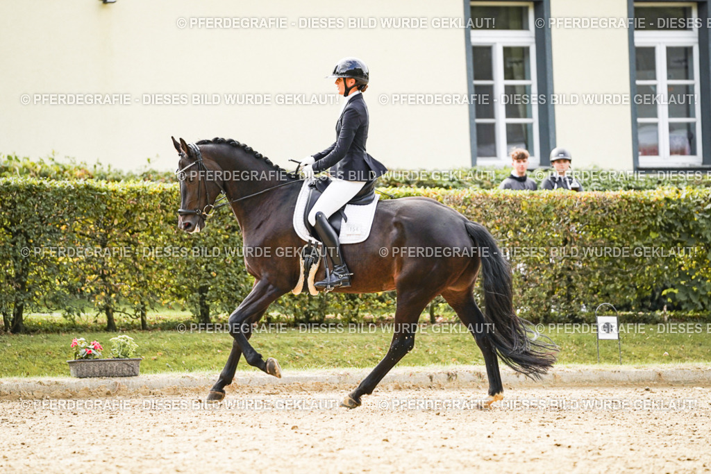 DSC00886 | Pferdegrafie