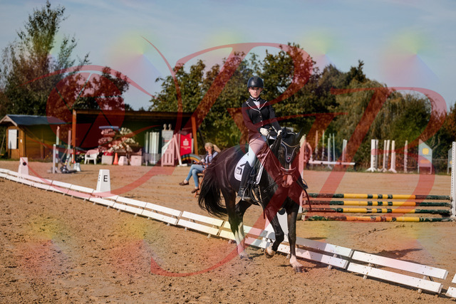 2026_10_03_Siefer-Hof_121654_Z63_40496305 | Professionelle Reitsport-, Turnier- und Eventfotografie von Robert Broda. Galerien mit ausgewählten und bearbeiteten Bildern direkt online ansehen und bestellen.