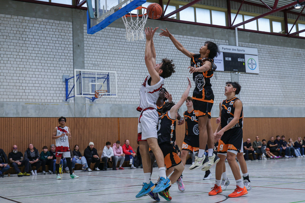 JBBL BAYER GIANTS vs Young Lions Wuppertal-77 | Fotos von Basketballspielen aus dem Raum NRW fotografiert von Gero Mueller-Laschet und Daniel Schaefer - Realisiert mit Pictrs.com