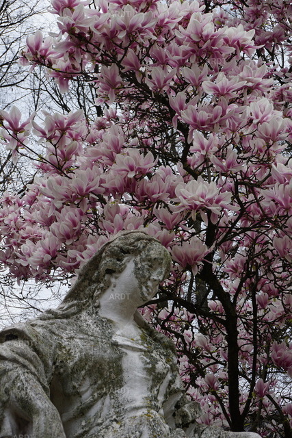 Momente 4 | Palastgarten Trier