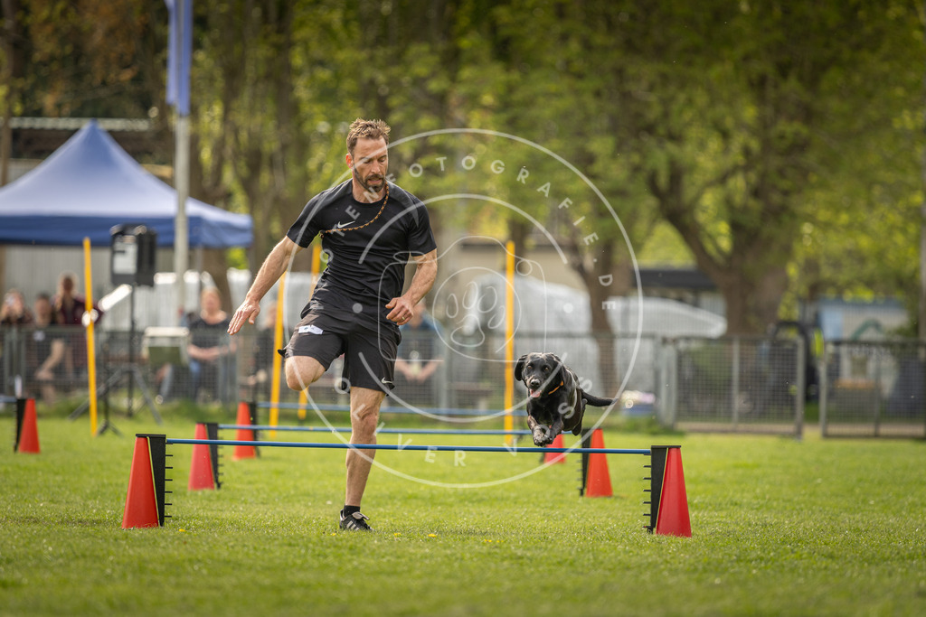 Pfotenfotografie_DV3A6196 | Hundefotografie, Tierfotograf, Pfotenfotografie, Fotoshooting Hund, Hunde Portrait, Hundesport, Hundeportraits, Heideshooting, Hunde, Sportfotograf, Hundefotograf, Turnierhundsport, THS,  - Realisiert mit Pictrs.com