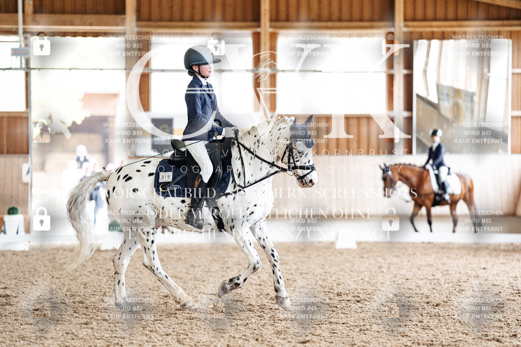 CK901416 | Turnierfotografie Pferdefotografie Trier Rheinland-Pfalz Pferdesport Reitsport Tierfotografie Sportfotografie Pferdevideo Pferdevideografie Equestrianvideography equestrianphotography  - Realisiert mit Pictrs.com