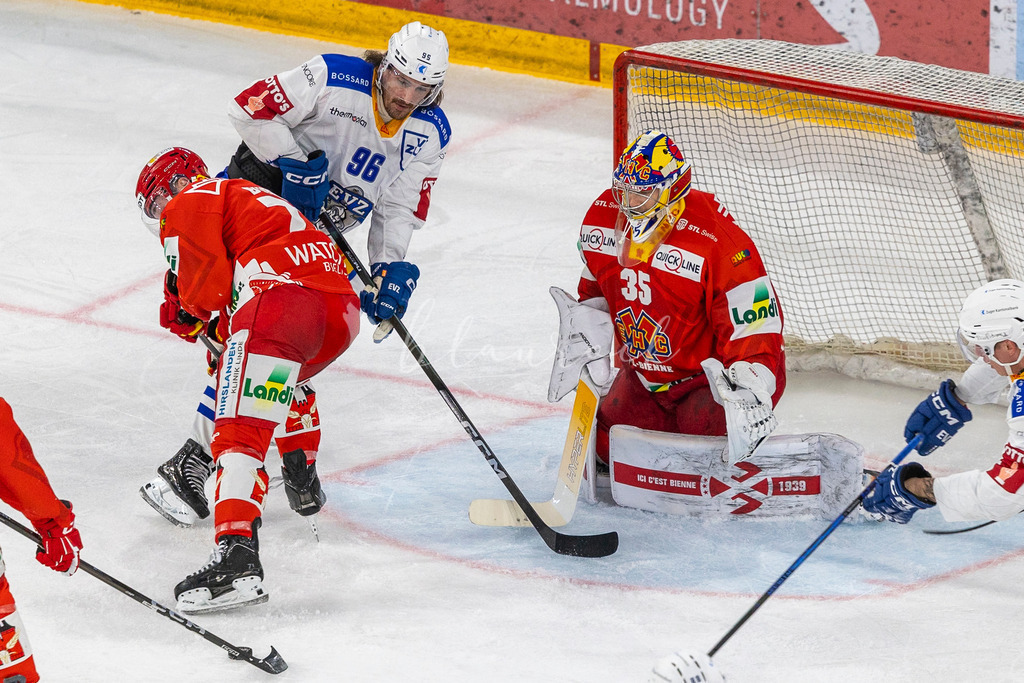 EHCB vs EVZ 20260227_WB-7249 | Sportbilder, Sportfotograf, Hochzeits- und Eventfotografin, Flugshows, Portraits und Tiershooting, Aviation, Downhill, Nationalleague, Swissleague, International