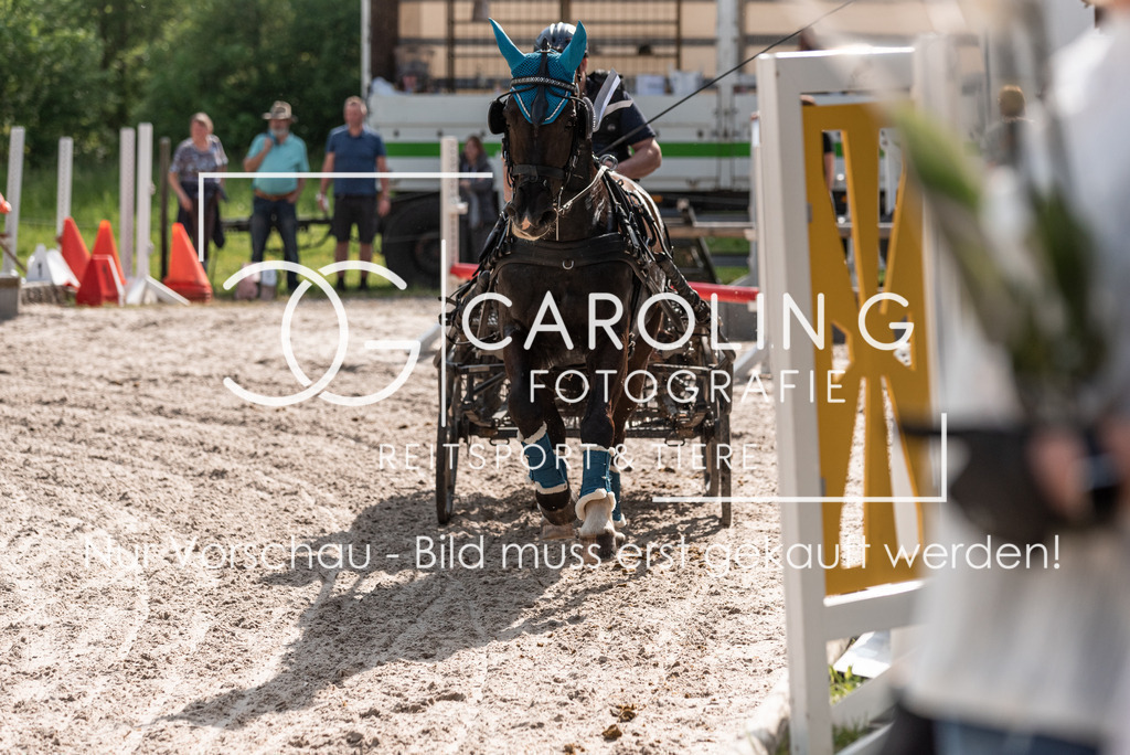 DSC_2625 | Turnierfotografin Carolin Gieschke, Turnierfotografie Carolin G Fotografie, Turnierfotos Kirchheim/Teck, Esslingen, Stuttgart, Bodenseekreis
