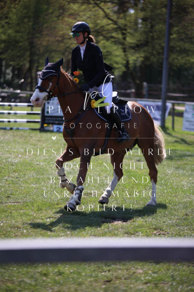 IMGT5760 | pl-fotografie