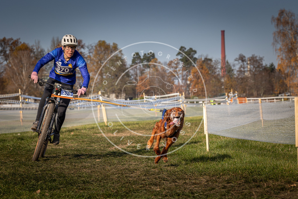 CaniXpix_0L8A7796 | Hundefotografie, Tierfotograf, Pfotenfotografie, Fotoshooting Hund, Hunde Portrait, Hundesport, Hundeportraits, Heideshooting, Hunde, Sportfotograf, Hundefotograf, Turnierhundsport, THS,  - Realisiert mit Pictrs.com
