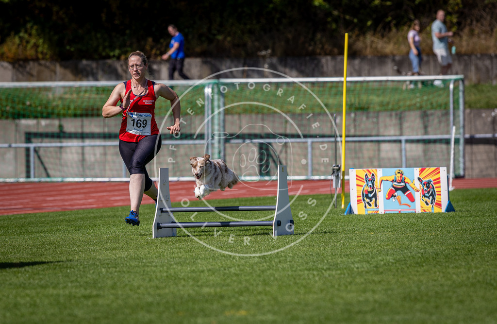 Pfotenfotografie_DV3A9861 | Hundefotografie, Tierfotograf, Pfotenfotografie, Fotoshooting Hund, Hunde Portrait, Hundesport, Hundeportraits, Heideshooting, Hunde, Sportfotograf, Hundefotograf, Turnierhundsport, THS,  - Realisiert mit Pictrs.com