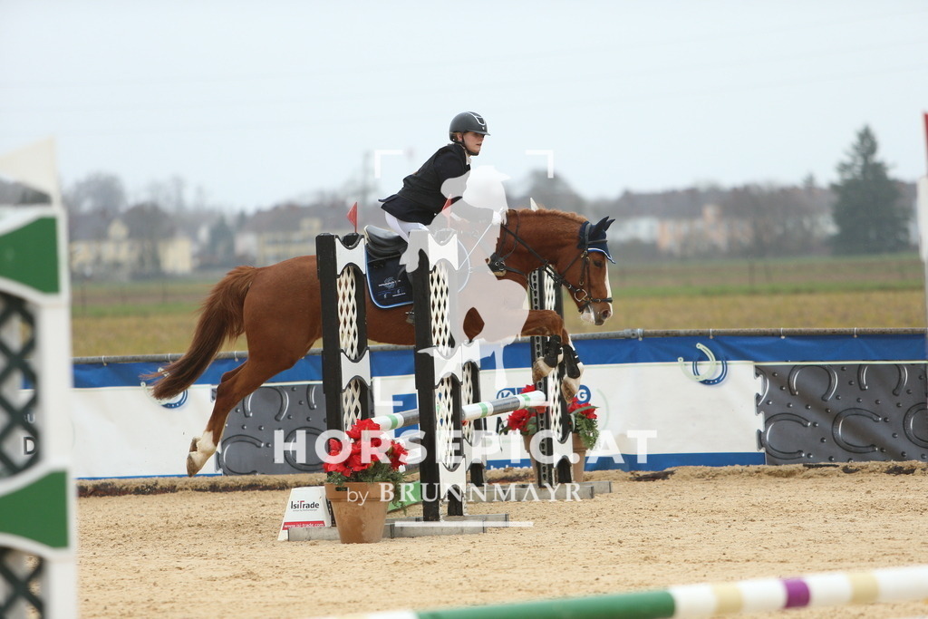 DL2Q1221 | Willkommen bei Brunnmayr - Design & Fotografie – Ihrem Spezialisten für Reitturniere und Pferdeveranstaltungen in Oberösterreich, Salzburg und Bayern! Seit über 17 Jahren sind wir leidenschaftlich dabei.