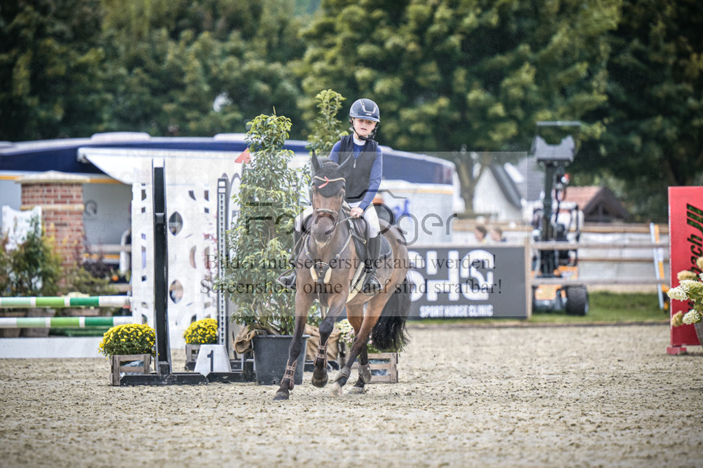 DOS_0980 | Entdecke hochwertige Reitturnierfotos von Foto Oger. Professionell, emotional und authentisch – jetzt Lieblingsmomente im Shop bestellen.Deutschlandweite Turnierfotografie. - Realisiert mit Pictrs.com