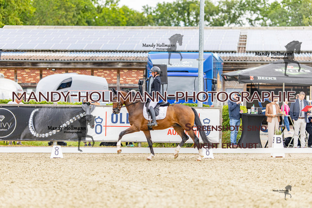 SW 4-95 | mandyhollmannphotographie