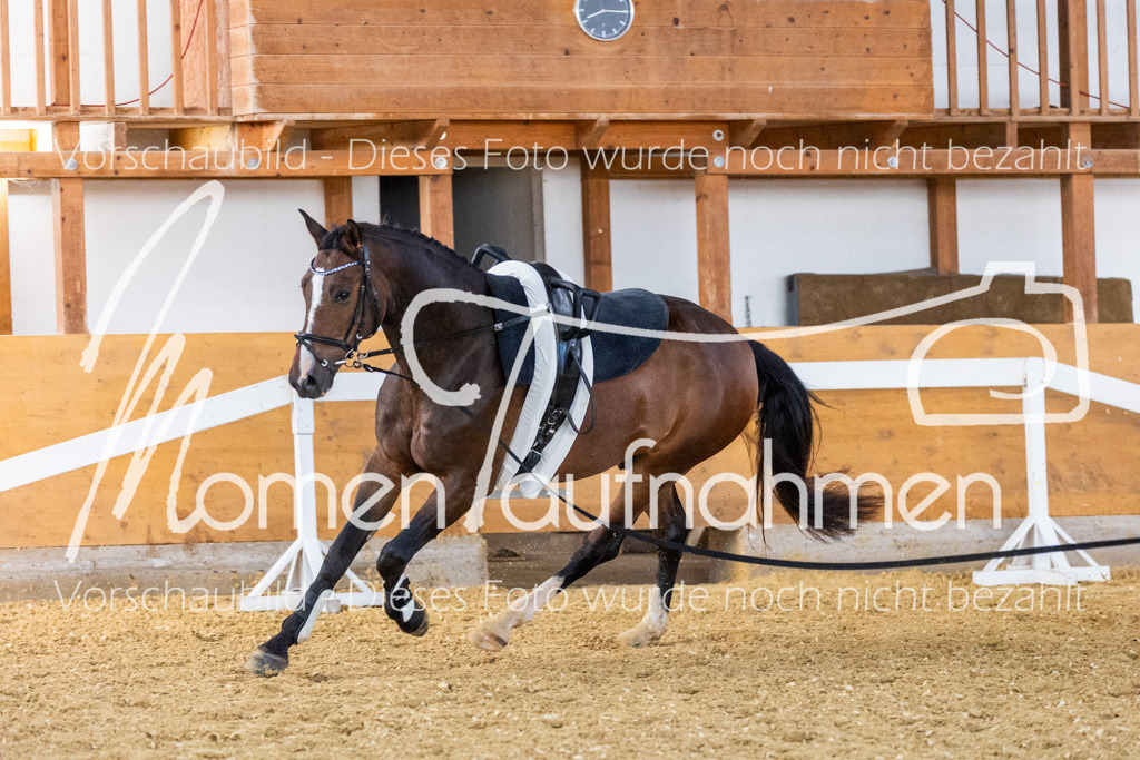 VTD-Voltigierpferde-060 | MomenTaufnahmen Pferdesportfotos