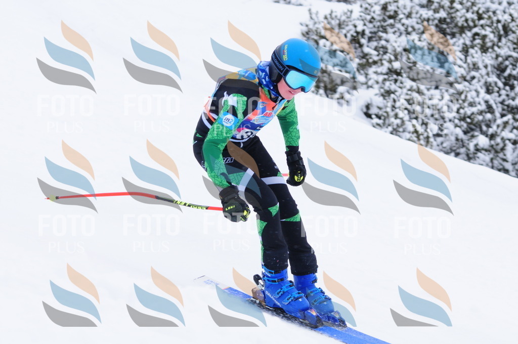 C4212 | holidayphoto