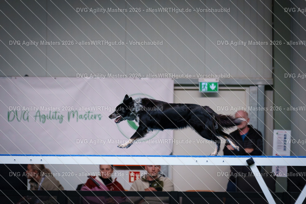 allesWIRTHgut_Tierfotografie-DVG_Agility_Masters_2026-15_44-7R506881 | Professionelle Tierfotografie in Mönchengladbach von Daniel Wirth (allesWIRTHgut). Liebevolle & natürliche Bilder von Hunden & Katzen für unvergessliche Erinnerungen.