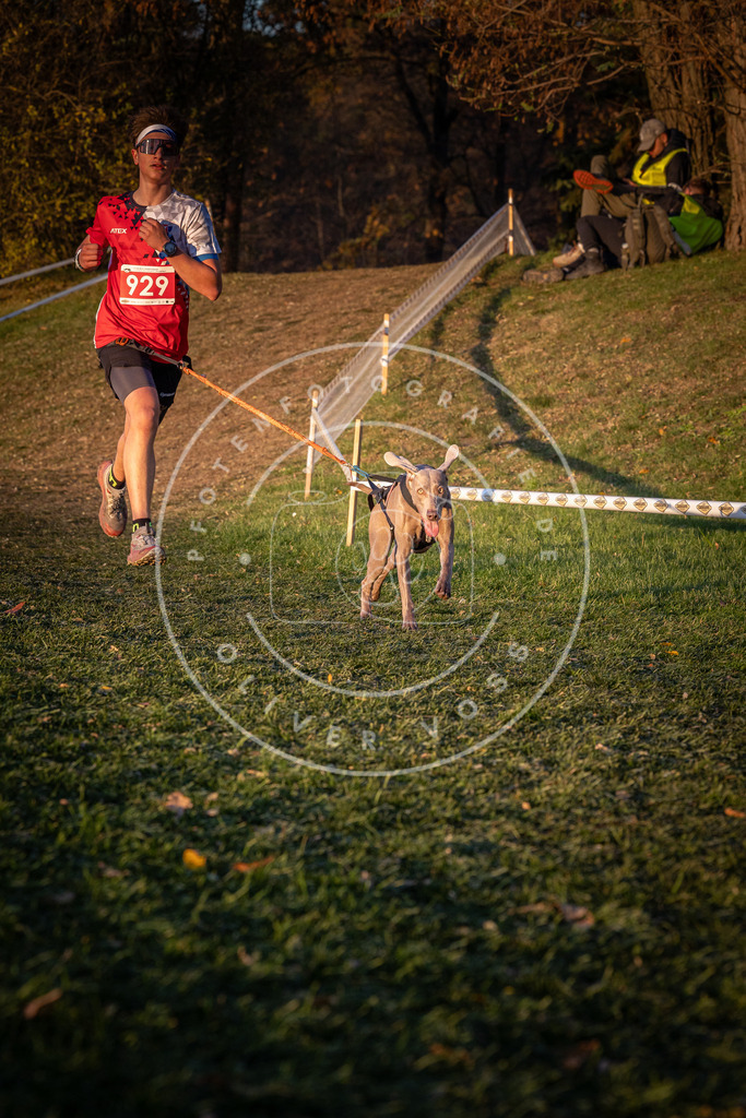 CaniXpix_0L8A1726 | Hundefotografie, Tierfotograf, Pfotenfotografie, Fotoshooting Hund, Hunde Portrait, Hundesport, Hundeportraits, Heideshooting, Hunde, Sportfotograf, Hundefotograf, Turnierhundsport, THS,  - Realisiert mit Pictrs.com