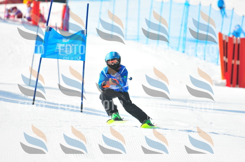 B8770 | holidayphoto