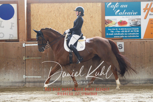 DKP45566 | Turniersportfotografie; Pferdefotografie; Dressurfotografie