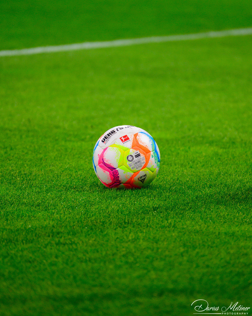 _DSC8923 | Fotografien, Fotos und Bilder aus Mainz, Frankfurt, Wiesbaden und anderen Orten auf der Welt - Fotografiert von Darius Metzner