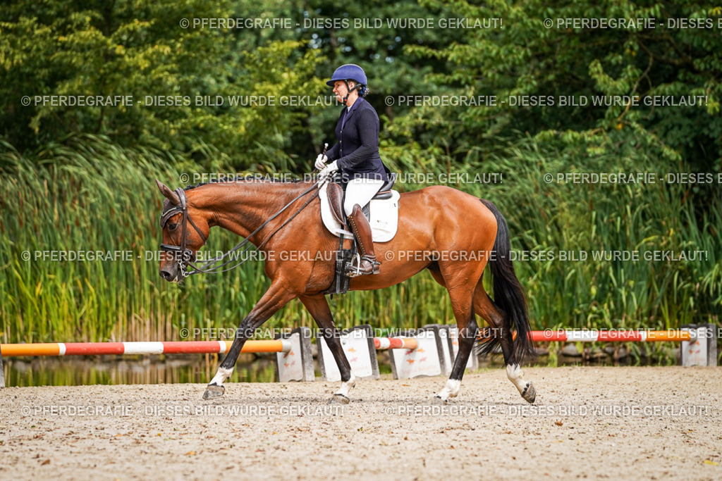 DSC03301 | Pferdegrafie