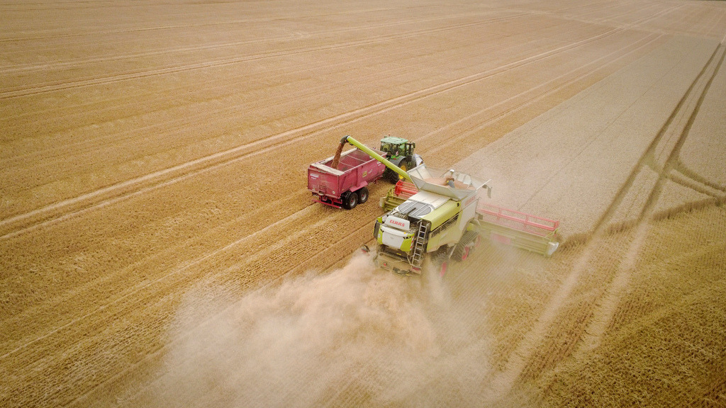 2026-07-13sig294bap | Ditzingen Schöckingen - Da die Hitzewelle und die Dürre weiterhin anhalten, stehen die Landwirte bei der Ernte vor immer größeren Herausforderungen, unter anderem aufgrund der riesigen Staubmengen, die dabei aufgewirbelt werden - Realisiert mit Pictrs.com