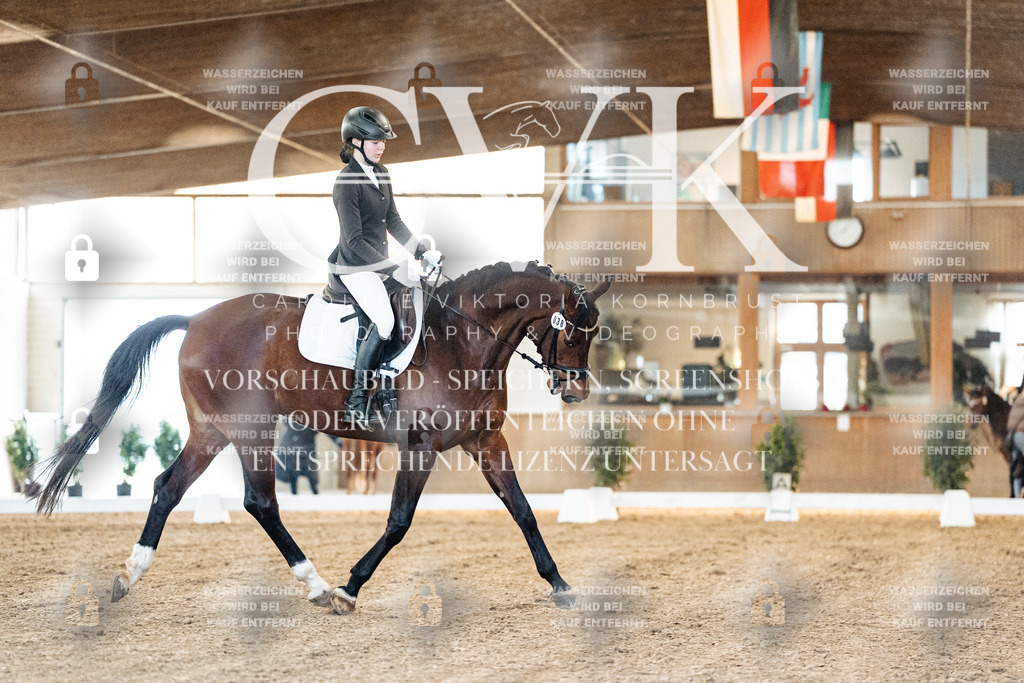 CK906482 | Turnierfotografie Pferdefotografie Trier Rheinland-Pfalz Pferdesport Reitsport Tierfotografie Sportfotografie Pferdevideo Pferdevideografie Equestrianvideography equestrianphotography  - Realisiert mit Pictrs.com