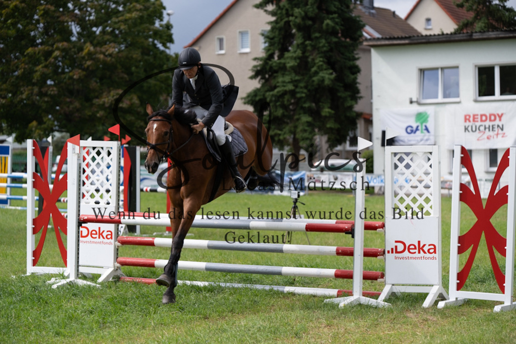 A7V03988 | Pferdefotograf