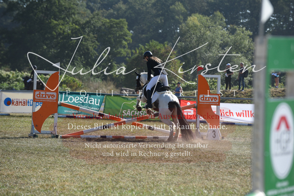 DSC_6090 | Pferde- und Turnierfotografie in Westsachsen. Pferdeportraits, Auftragszeichnungen und intuitive Kunst.