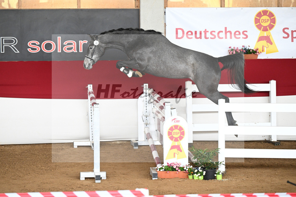 Kat-Nr. 50 Coralee v. Colman_Egetenmeier_9240590 | hf-fotografie - Realizzato con Pictrs.com