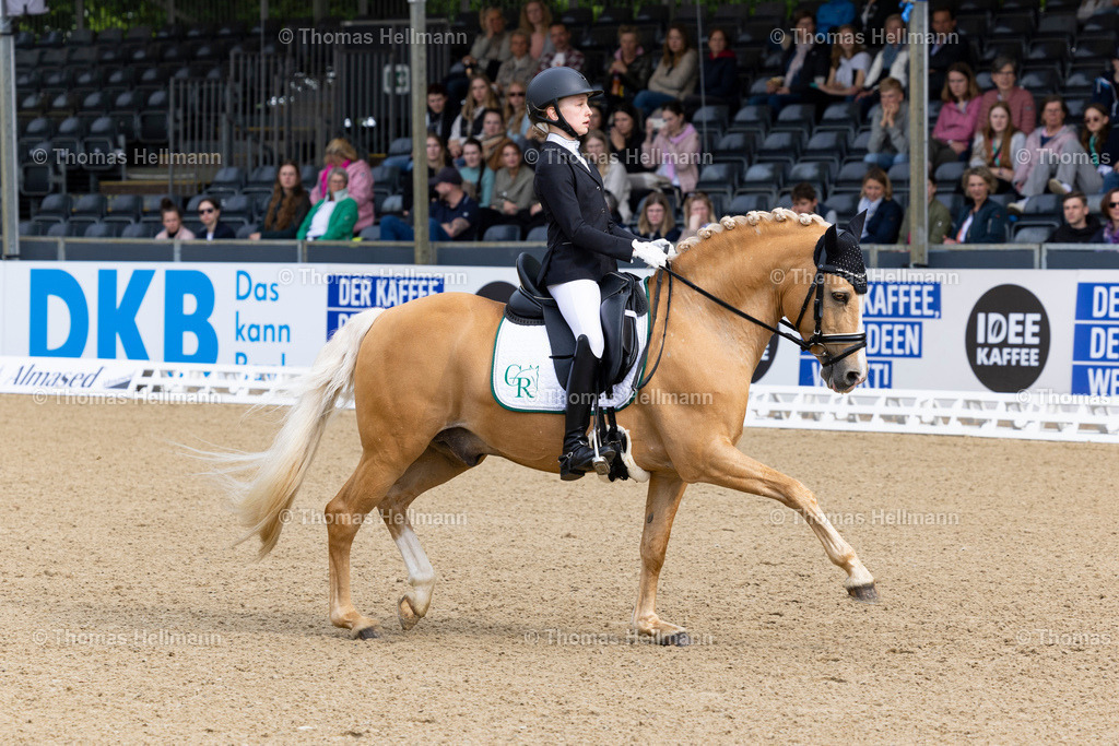 TH_649 NK Cyrill_ Mia Steinbusch_7930 | Deutsches Spring- und Dressur-Derby 2023 am 21.05.23 in Hamburg, Derby Platz Klein Flottbek, Thomas Hellmann, _Y7A8594