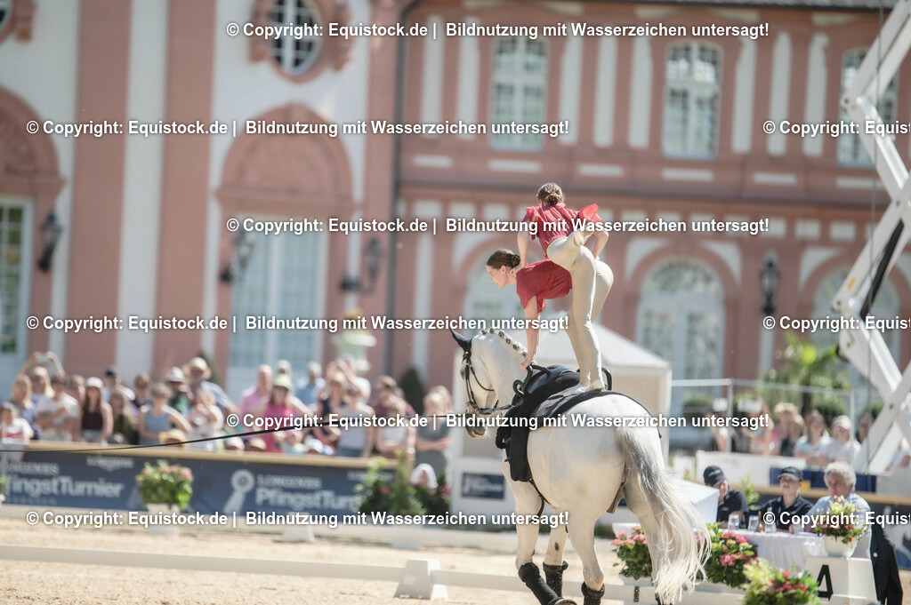 20230528_Voltigieren_NASPA_0348 | equistock