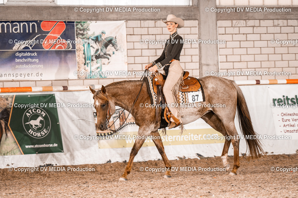 ZH100154 | dv-media-shop - Realisiert mit Pictrs.com