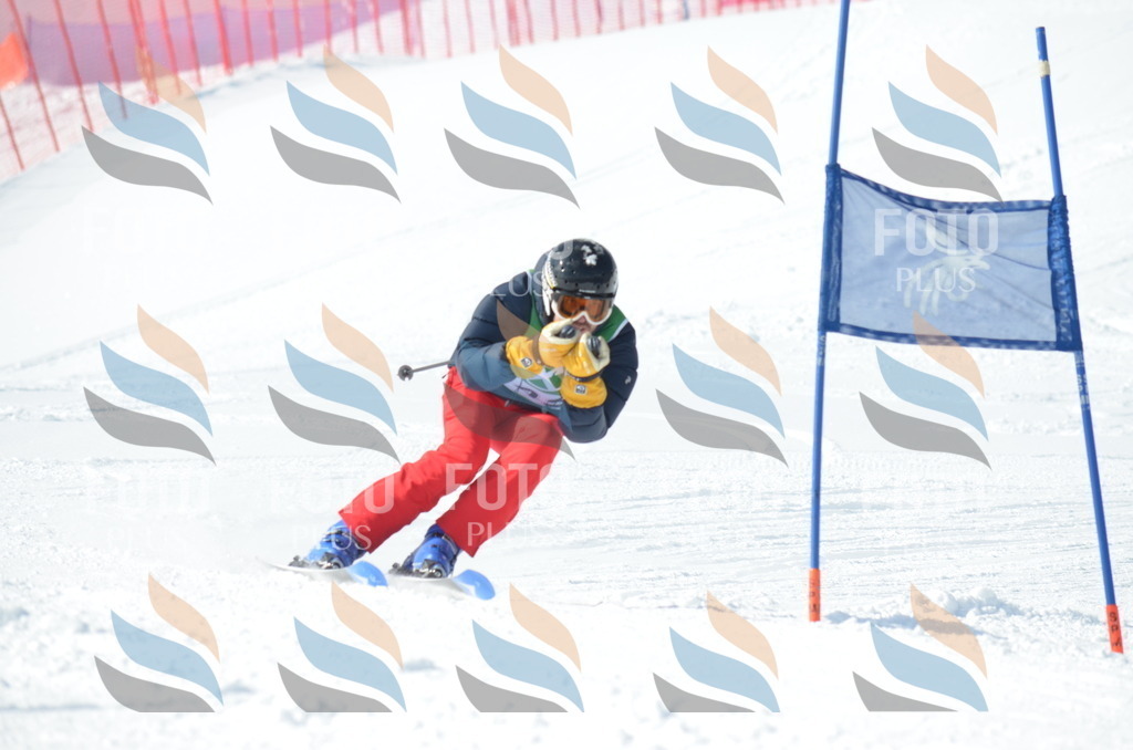 D9083 | holidayphoto