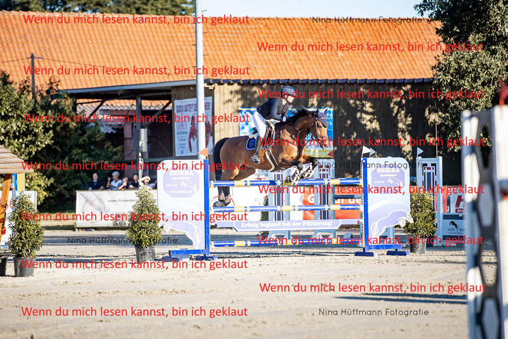 BK1A8435 | Turnierbilder Turnierfotos Nina Hüffmann Turnierfotografie Pferdefotografie Tierzeichnung Haustierzeichnung Pferdezeichnung Hundezeichnung Videograf  - Realisiert mit Pictrs.com