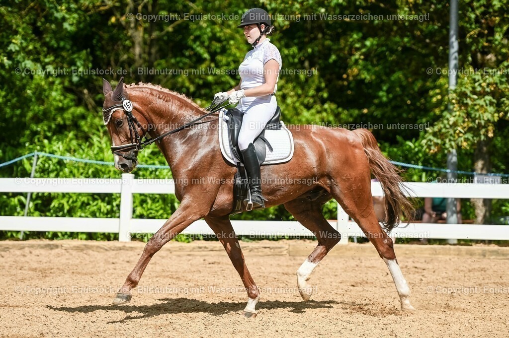 20230715_02_Dressurreiterprüfung Kl.L_0232 | equistock