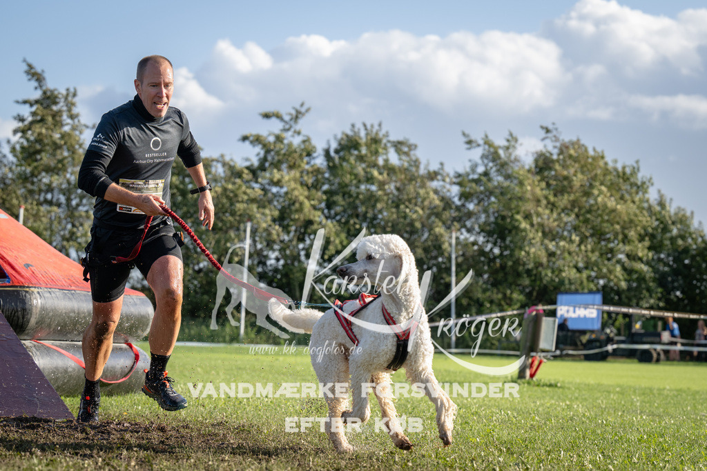 1448-90043 | kk-dogfotos