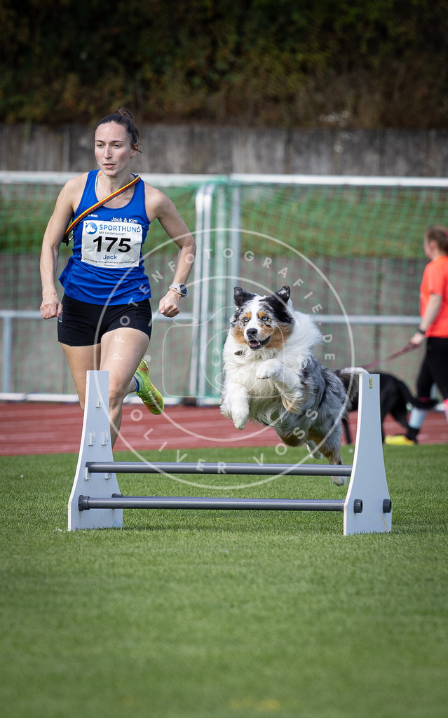 Pfotenfotografie_DV3A0097 | Hundefotografie, Tierfotograf, Pfotenfotografie, Fotoshooting Hund, Hunde Portrait, Hundesport, Hundeportraits, Heideshooting, Hunde, Sportfotograf, Hundefotograf, Turnierhundsport, THS,  - Realisiert mit Pictrs.com
