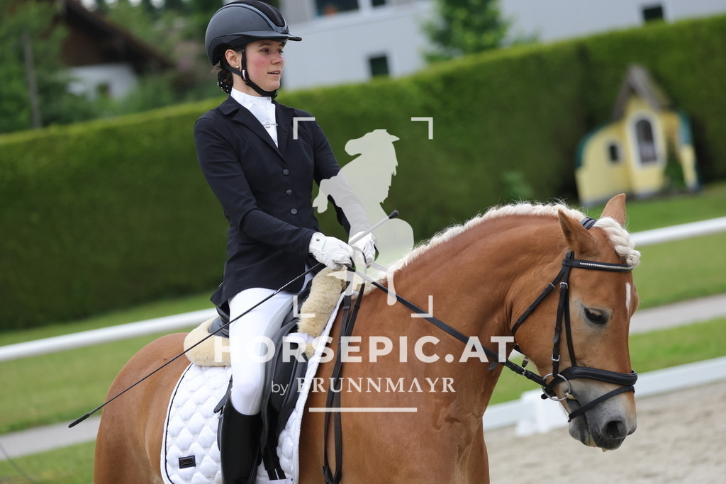 0P6A7077 | Willkommen bei Brunnmayr - Design & Fotografie – Ihrem Spezialisten für Reitturniere und Pferdeveranstaltungen in Oberösterreich, Salzburg und Bayern! Seit über 17 Jahren sind wir leidenschaftlich dabei.